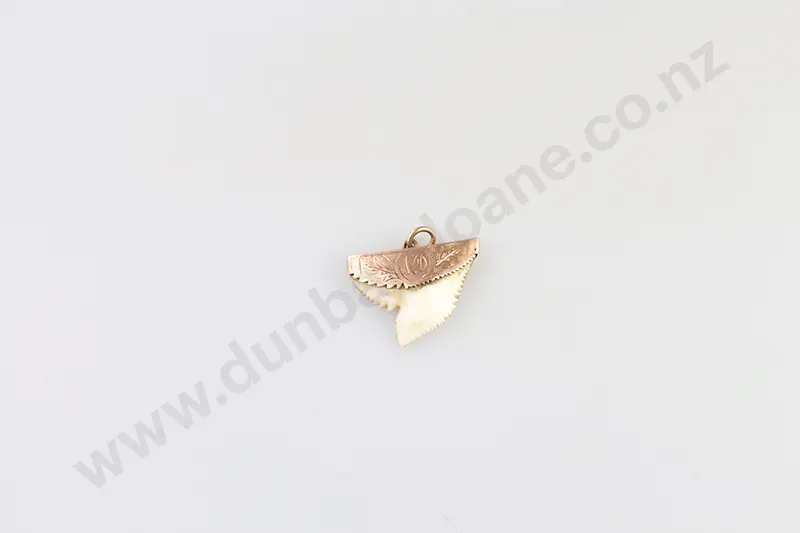9ct Mounted Shark Tooth Pendant Image 1++