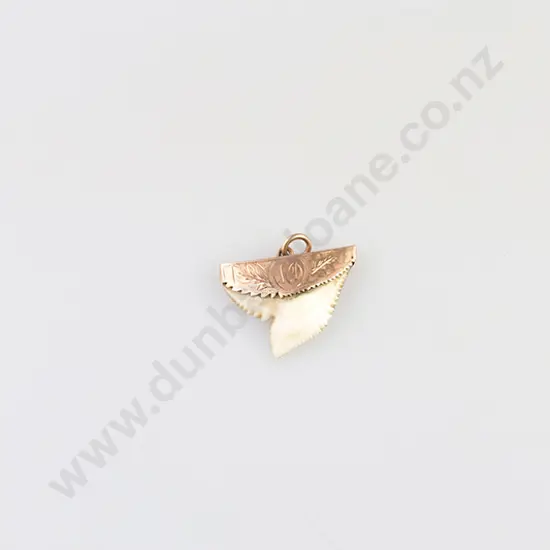 9ct Mounted Shark Tooth Pendant