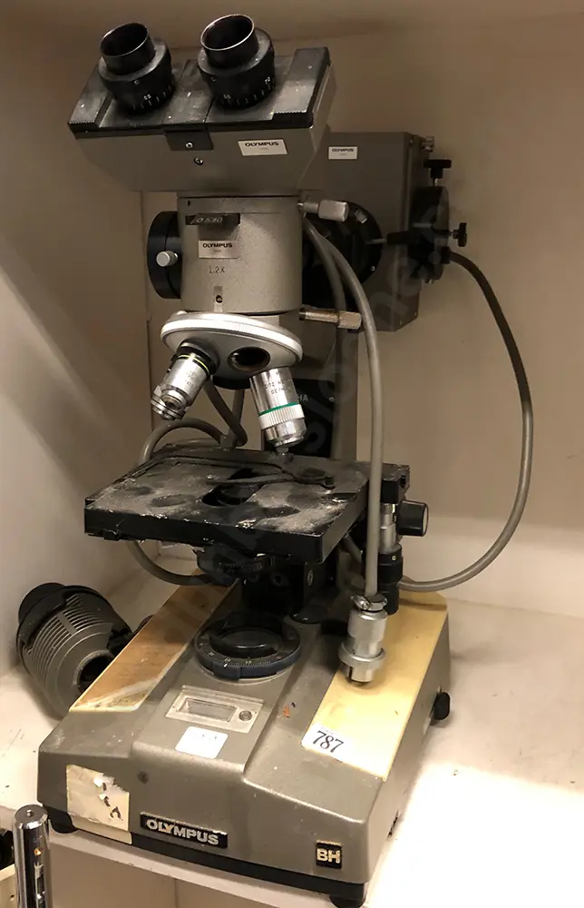 Olympus Japan Microscope Image 1++