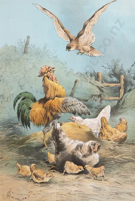 Four Sporting Prints Image 1++