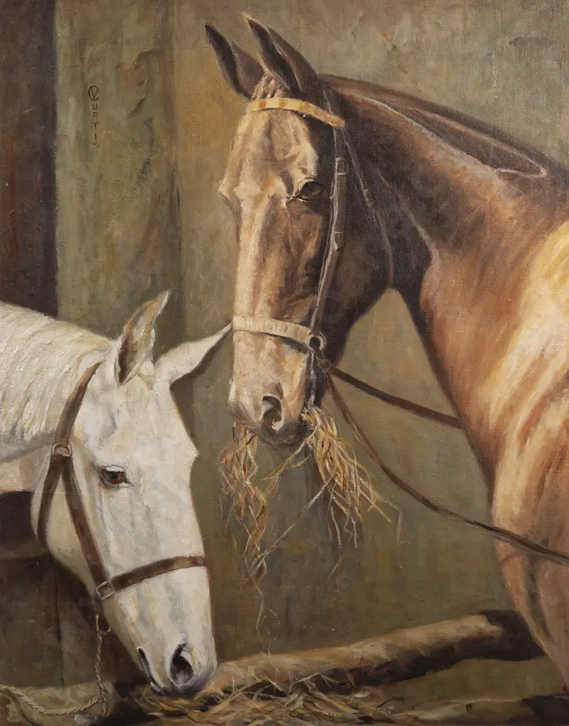 V Curtis - Horses Image 1++