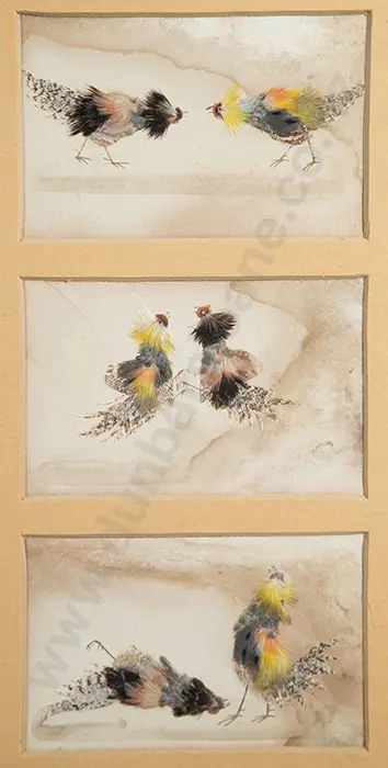 Three Framed Feather Bird Pictures Image 1++