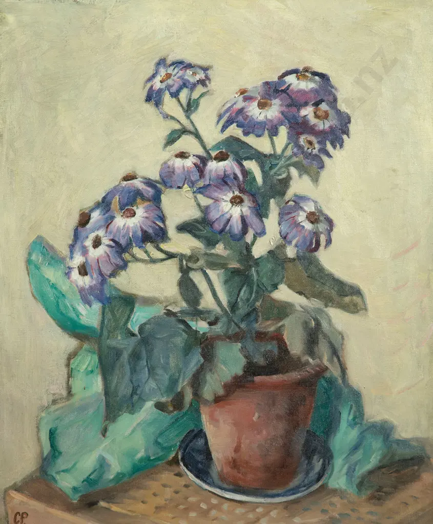 Christopher Perkins - The Purple Daisy Image 1++