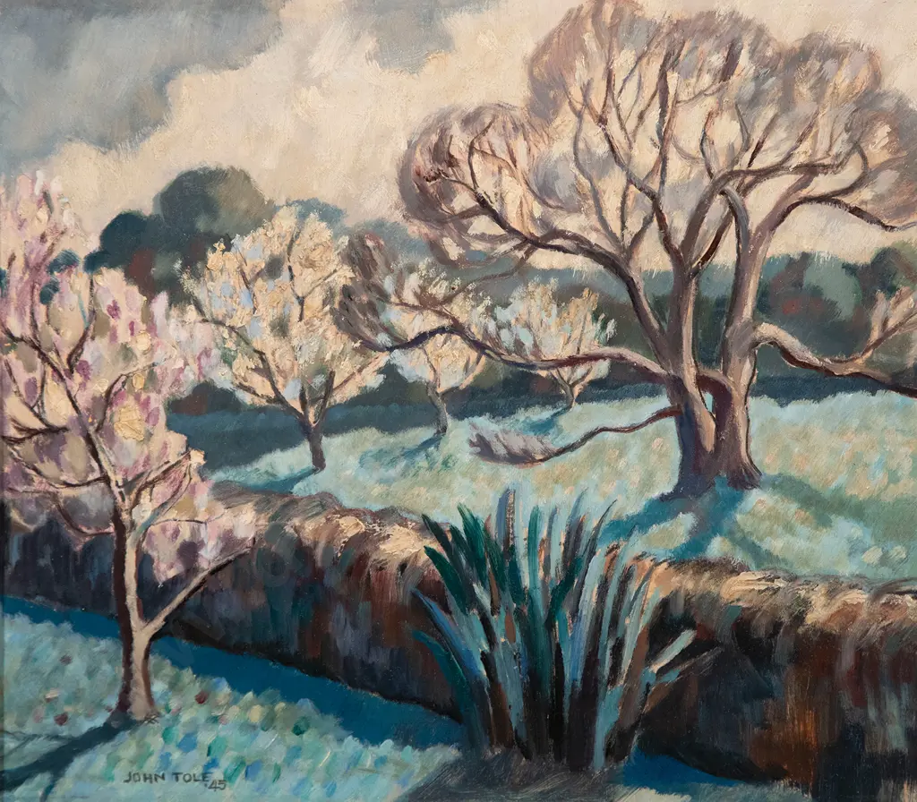 John Tole - Early Spring (Remuera) Image 1++