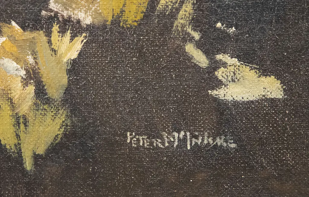 Peter McIntyre - Towards Galloway Image 1++