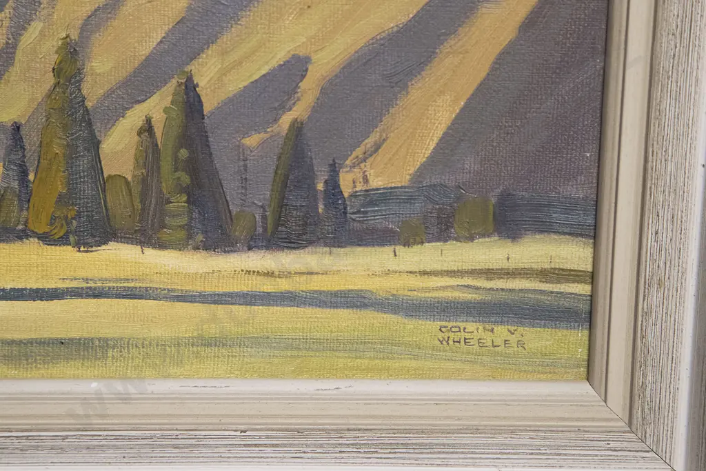 Colin V Wheeler - Last of the Sun (Arrowtown) Image 1++