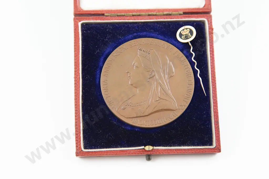 Queen Victoria Bronze Medallion & Princess Charlotte Stick Pin Image 1++