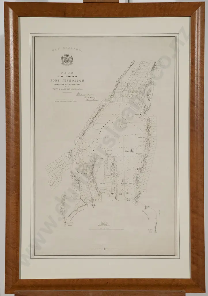 Rare C19th Plan of The Harbour of Port Nicholson Image 1++