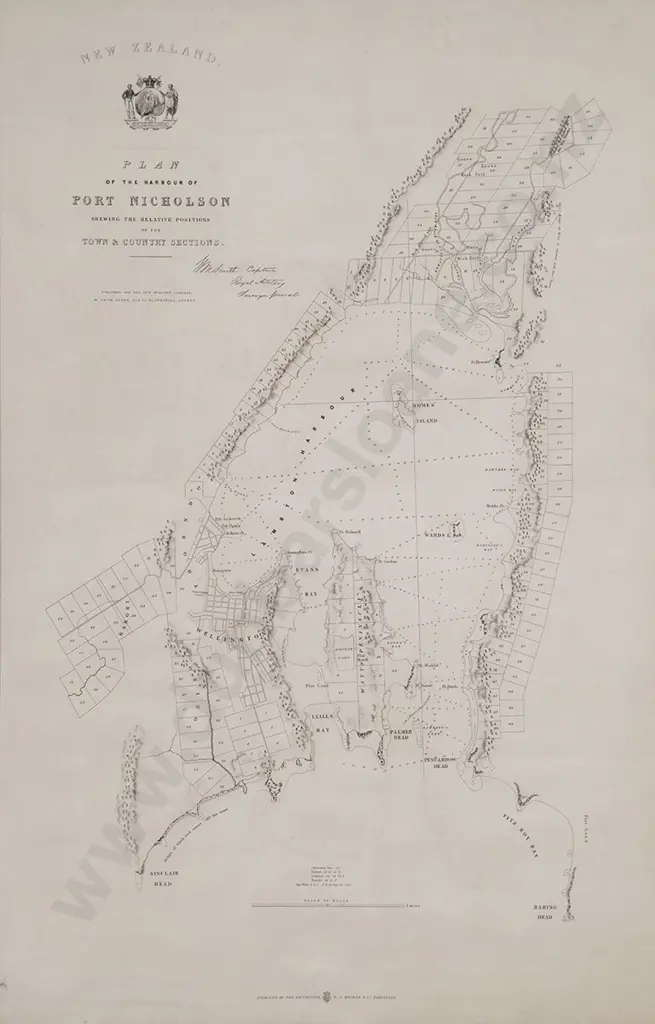 Rare C19th Plan of The Harbour of Port Nicholson Image 1++