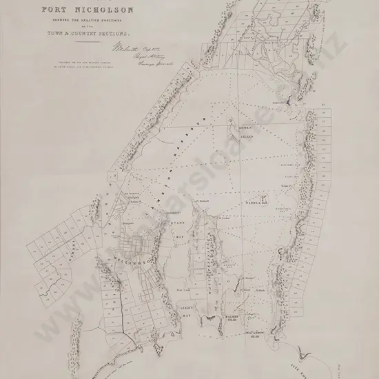 Rare C19th Plan of The Harbour of Port Nicholson