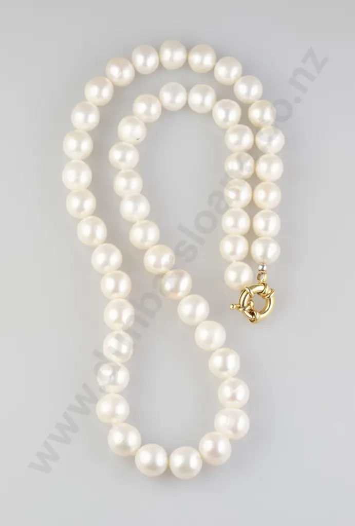 Single Strand Pearl Necklace Image 1++