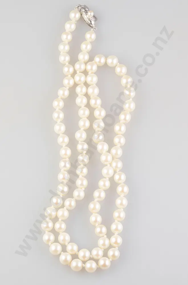 Single Strand Cultured Pearl Necklace Image 1++
