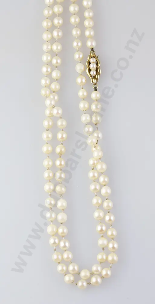 Uniform SIngle Strand Cultured Pearl Necklace Image 1++