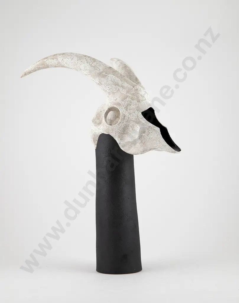 Rick Rudd Skull Jug Image 1++
