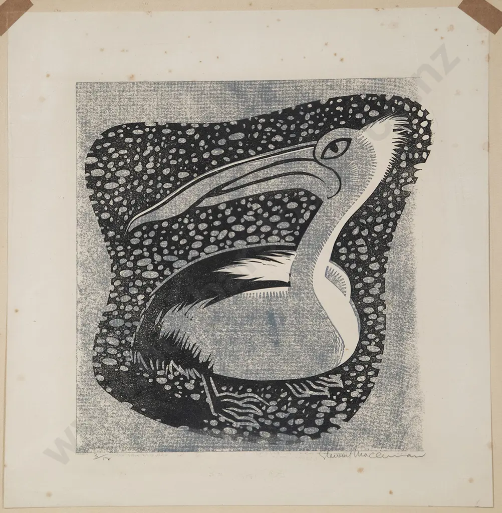 Stewart MacLennan - Rooster & Pelican (2) Image 1++