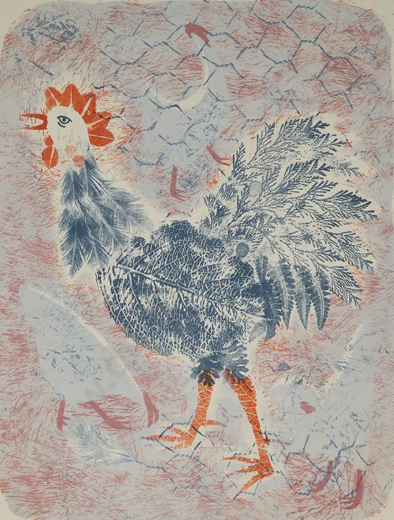 Stewart MacLennan - Rooster & Pelican (2) Image 1++