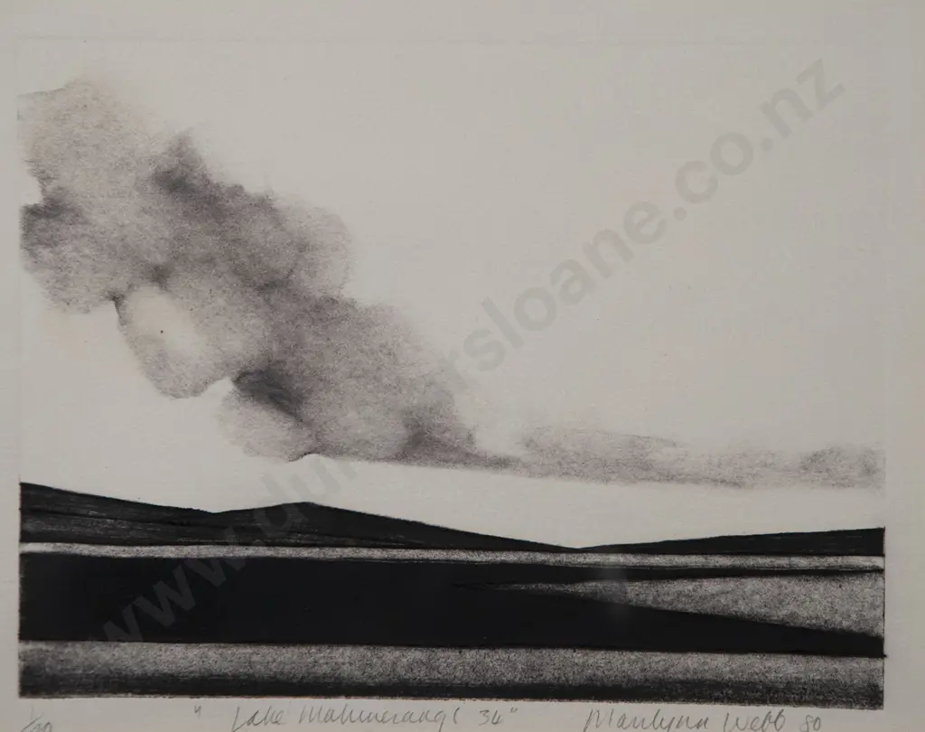 Marilynn Webb - Lake Mahinerangi Image 1++