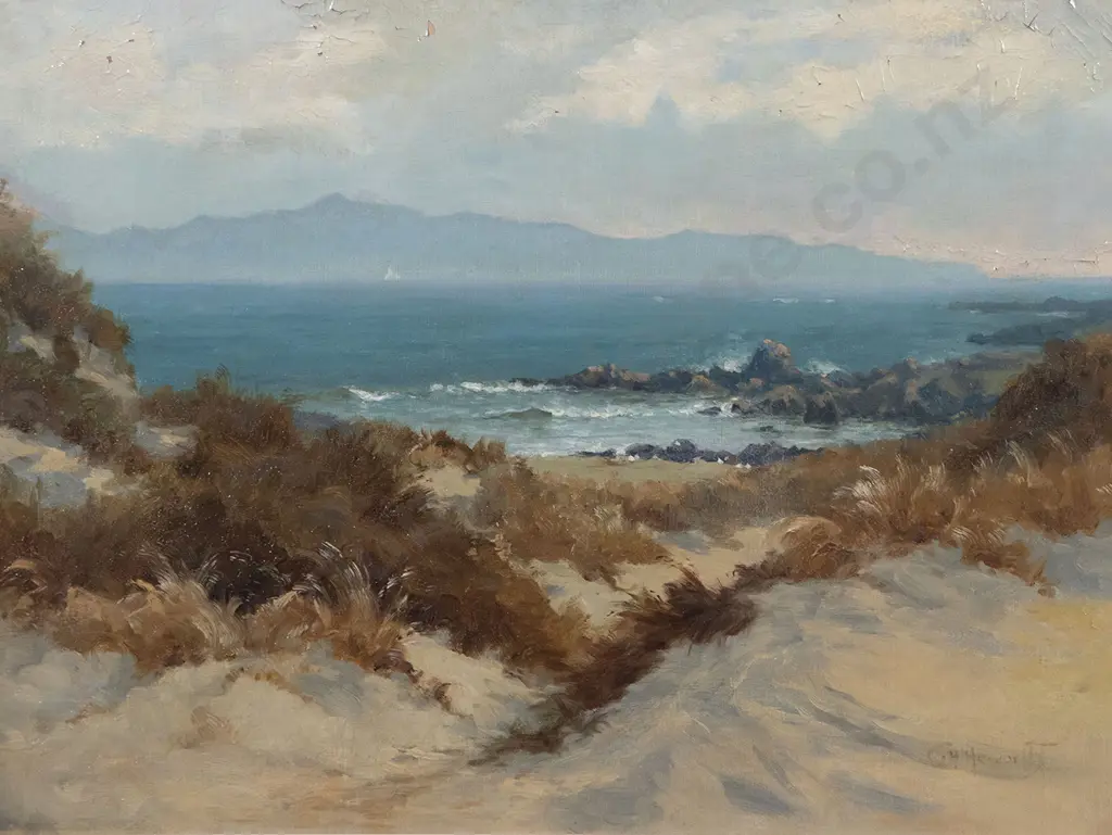 C H Howorth - South West Cape Image 1++