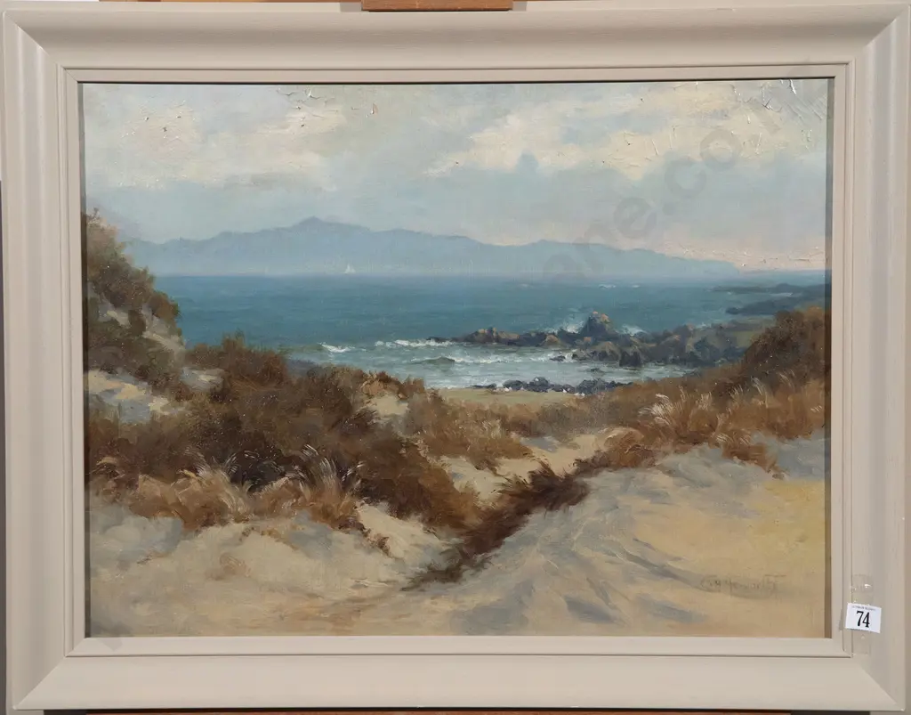 C H Howorth - South West Cape Image 1++
