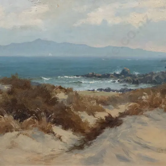 C H Howorth - South West Cape