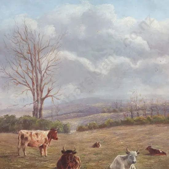 Unknown Artist - Cattle at Rest