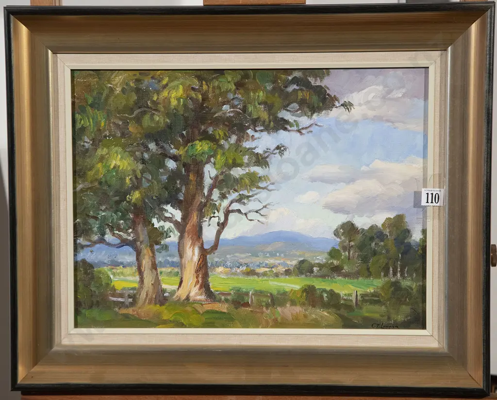 Carl Laugeson - New Zealand Landscape Image 1++