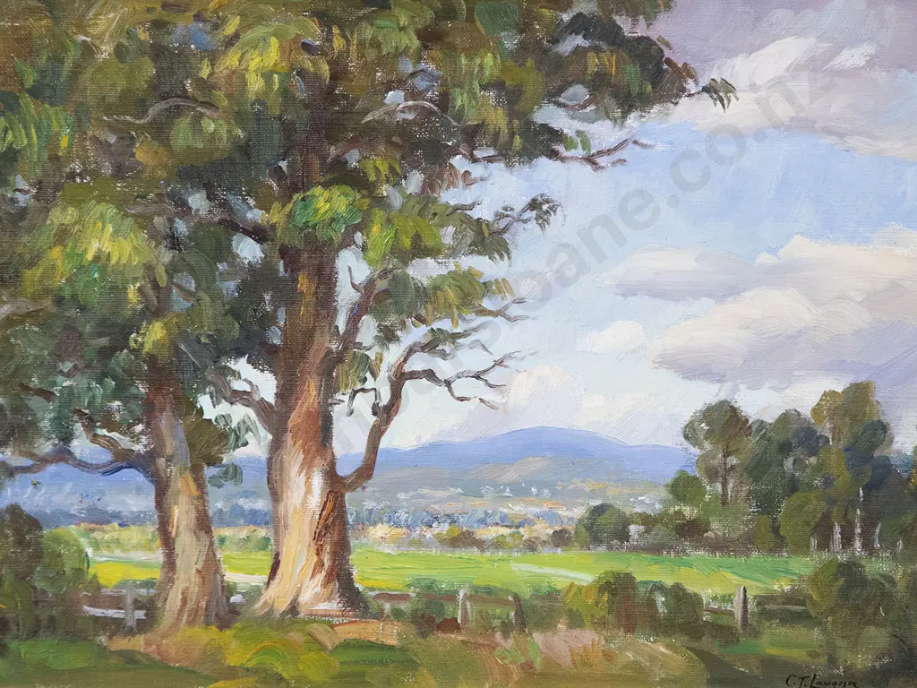 Carl Laugeson - New Zealand Landscape Image 1++