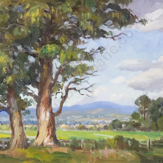 Carl Laugeson - New Zealand Landscape