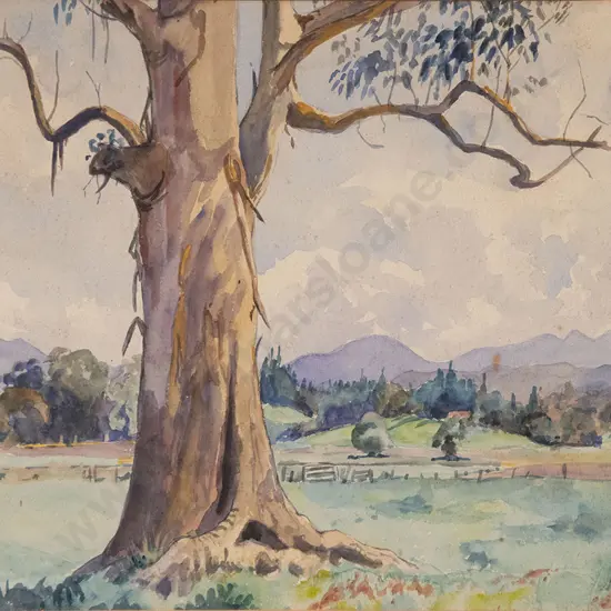 Margaret Rhodes watercolour and other pencil sketch (2)