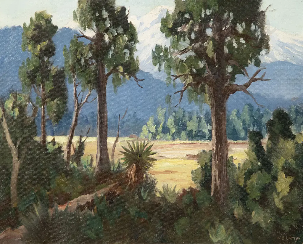 E B Lattey - King Country Landscape Image 1++
