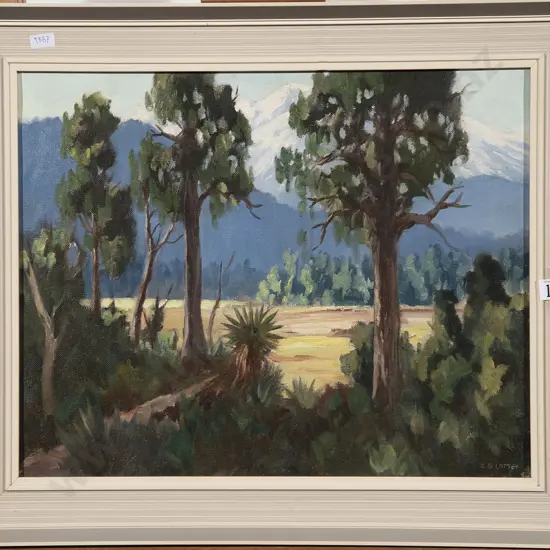 E B Lattey - King Country Landscape