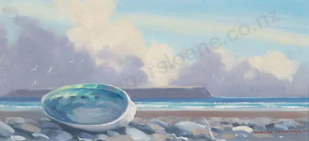 David Orange - Paua on Foreshore Image 1++