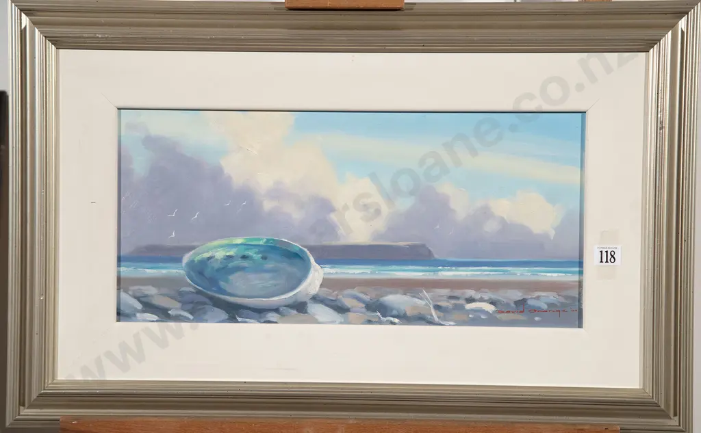 David Orange - Paua on Foreshore Image 1++