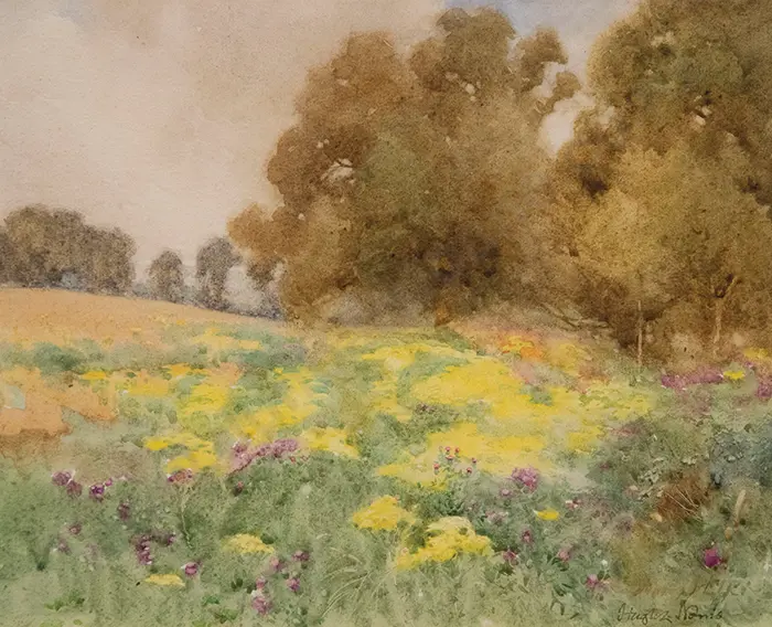 Hugh L Norris - Ragwort & Thistles Image 1++