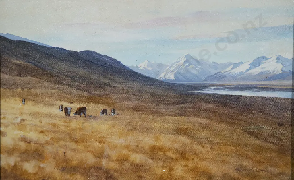 Robert McDowell - Mt Cook Image 1++