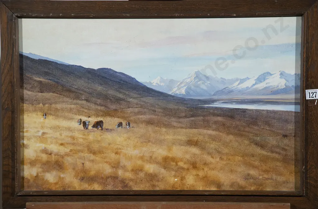 Robert McDowell - Mt Cook Image 1++