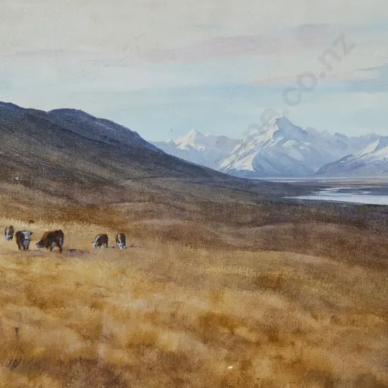 Robert McDowell - Mt Cook