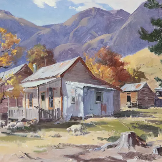 Peter Brown - Old Otago