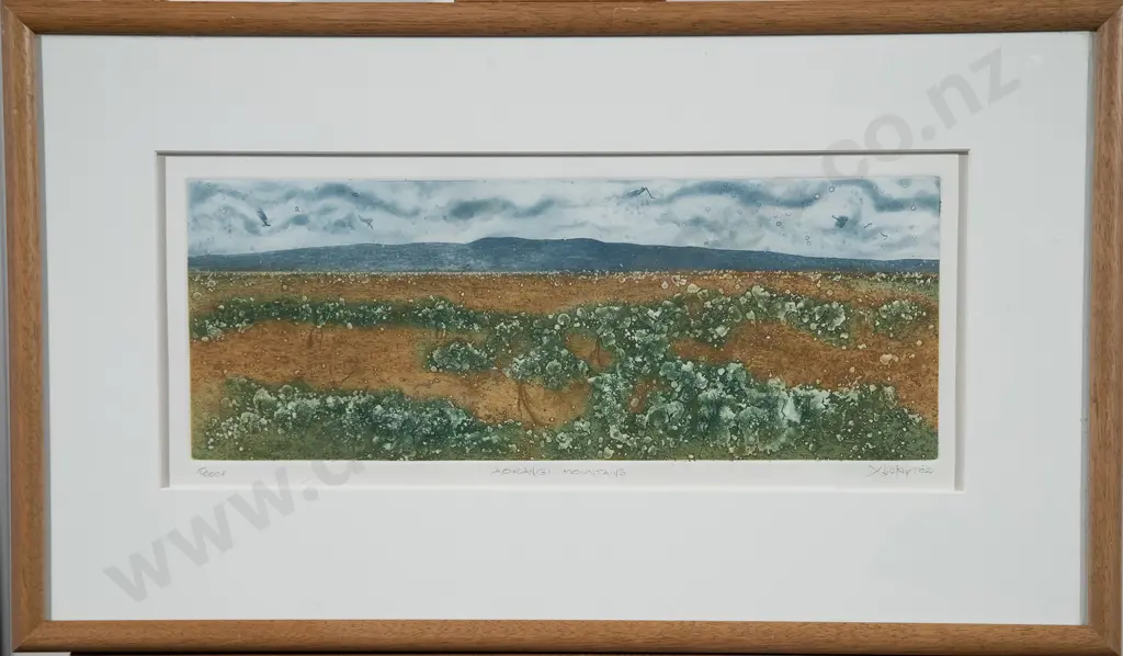 Gary Tricker - Aorangi Mountains Image 1++