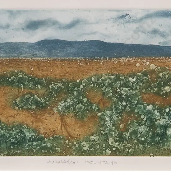 Gary Tricker - Aorangi Mountains