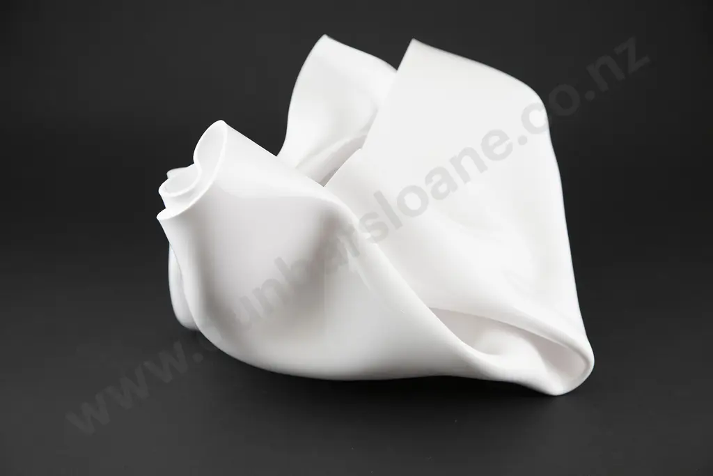 Tyler Jackson - Untitled (after Frank Gehry) Image 1++
