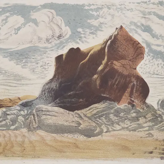 Stewart MacLennan - Rock Study Devon & Botanicals