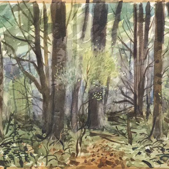 Stewart MacLennan - Six Various Watercolours