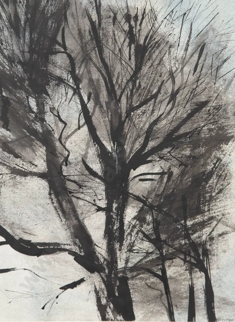 Avis Higgs - Elm in Winter Image 1++