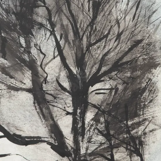 Avis Higgs - Elm in Winter