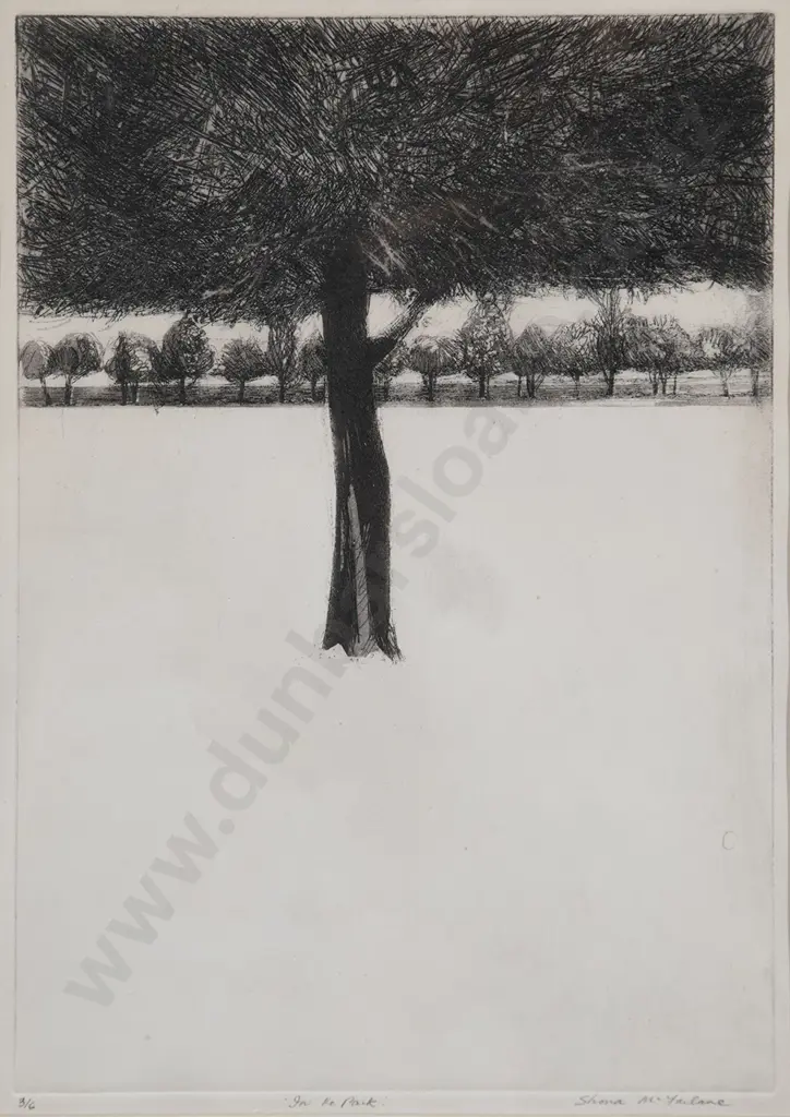 Shona McFarlane - In The Park Image 1++