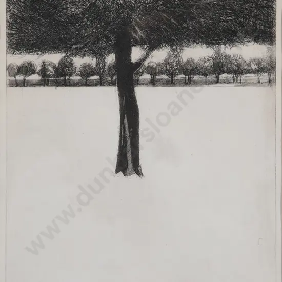 Shona McFarlane - In The Park