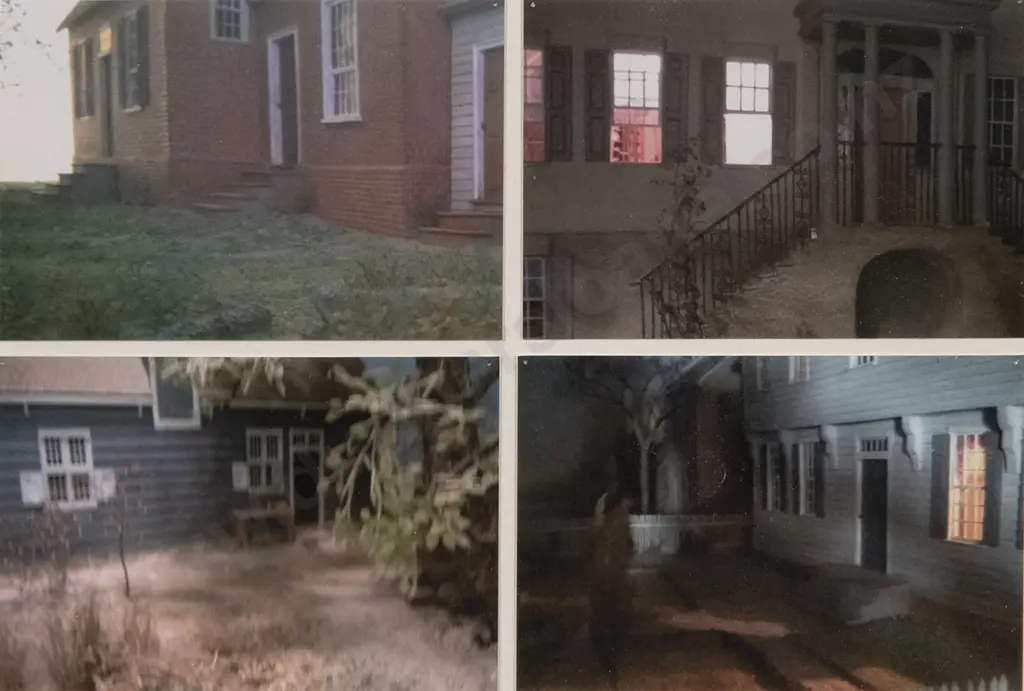 Emily Hartley Skudder - Park Slope NY Surveillance (2015 - 16) Image 1++