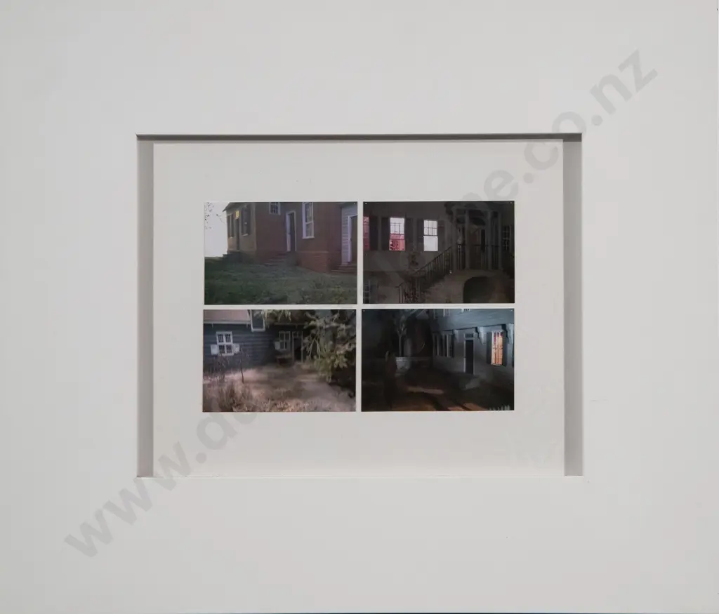Emily Hartley Skudder - Park Slope NY Surveillance (2015 - 16) Image 1++