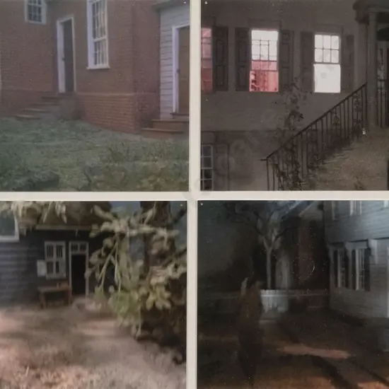 Emily Hartley Skudder - Park Slope NY Surveillance (2015 - 16)